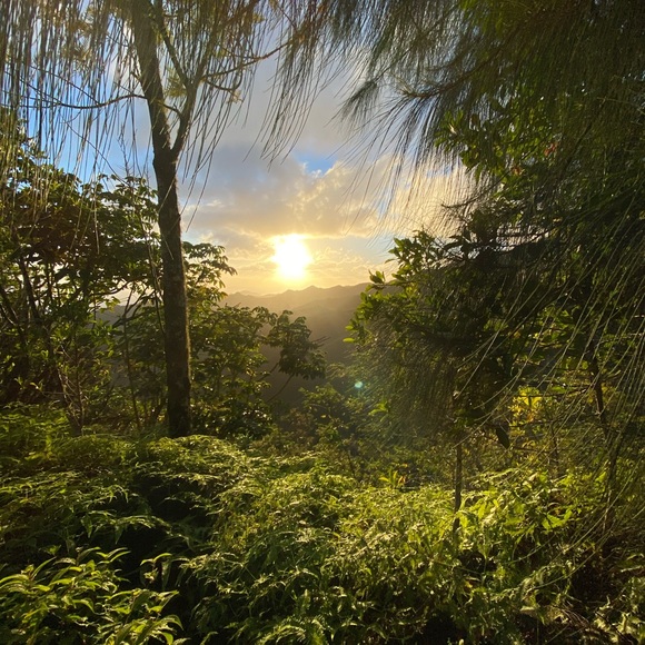 Meet your Posher, Kathryn - Picture 1 of 1